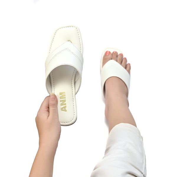 ANM-Classical Slides (White)